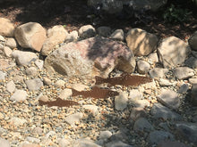 Load image into Gallery viewer, Large Fish Garden Art, Set of 3 Fish, Trout Metal Garden Decor,
